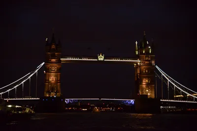 DSC_5695 (Large).JPG